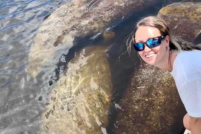manatee-dolphin-and-10000-islands-eco-beach-tour-by-boat