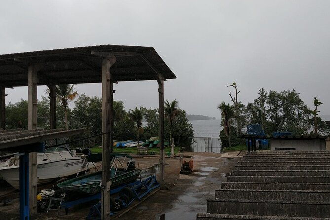 mangrove-tour-by-boat-birdwatching-fauna-and-flora-half-day