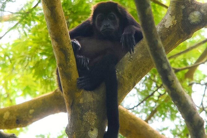 manuel-antonio-national-park-group-tour-park-ticket-not-included