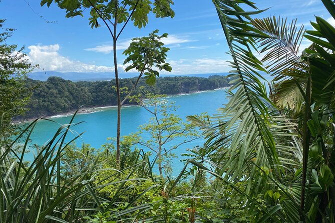manuel-antonio-national-park-private-day-tour-from-jaco-2
