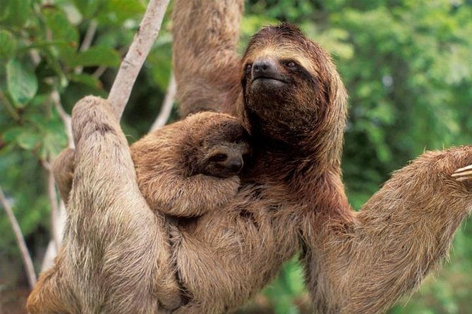 manuel-antonio-national-park-private-day-tour-from-jaco