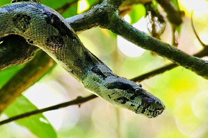 manuel-antonio-park-tour-and-its-amazing-wildlife-and-beaches