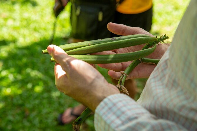 manuel-antonio-villa-vanilla-spice-tour