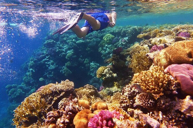 margaritaville-jeski-tour-or-snorkeling-in-montego-bay