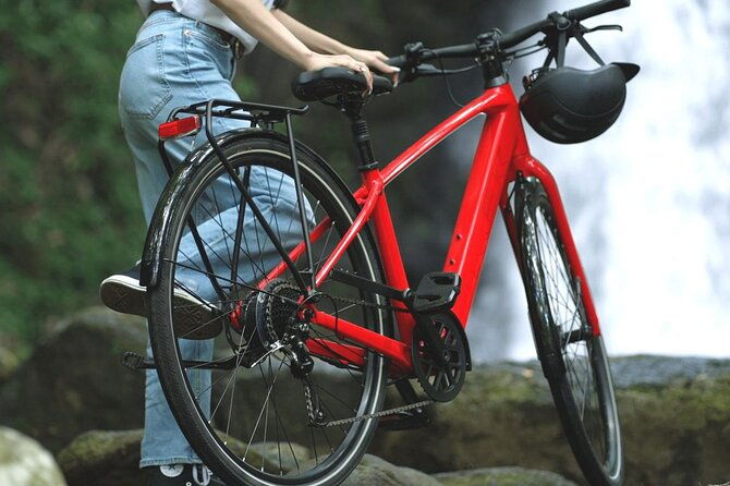 marlin-6-e-bike-xs-mt-aso-journey-from-kumamoto-airport