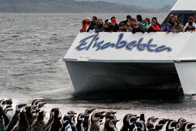 martillo-island-boat-trip-to-the-penguin-colony-beagle-channel