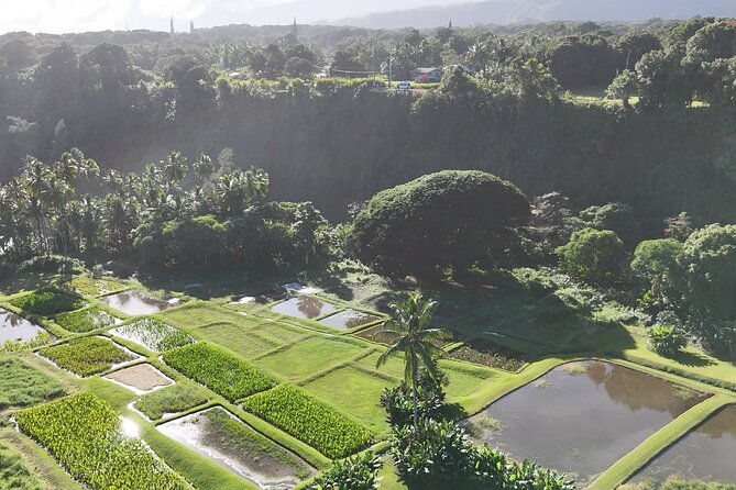 mauis-sea-turtles-waterfalls-and-road-to-hana-adventure