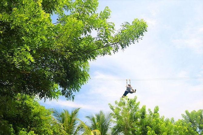 mayan-jungle-zipline-monkey-sloths-city-tour-private-vehicle
