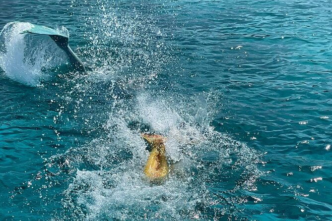 medusa-cruises-the-mermaid-cruise-protaras
