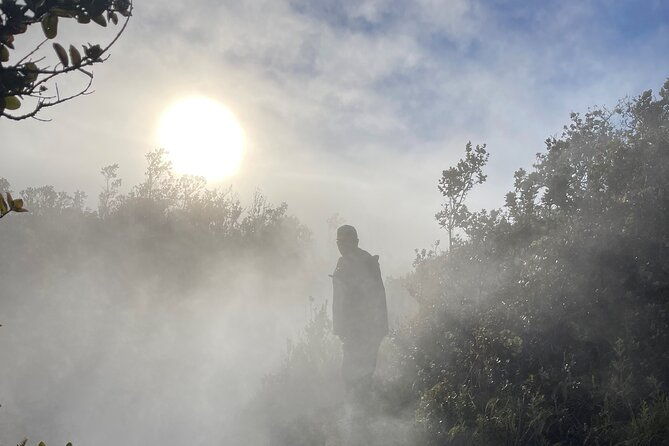 meet-in-the-park-private-hawaii-volcanoes-national-park-tour