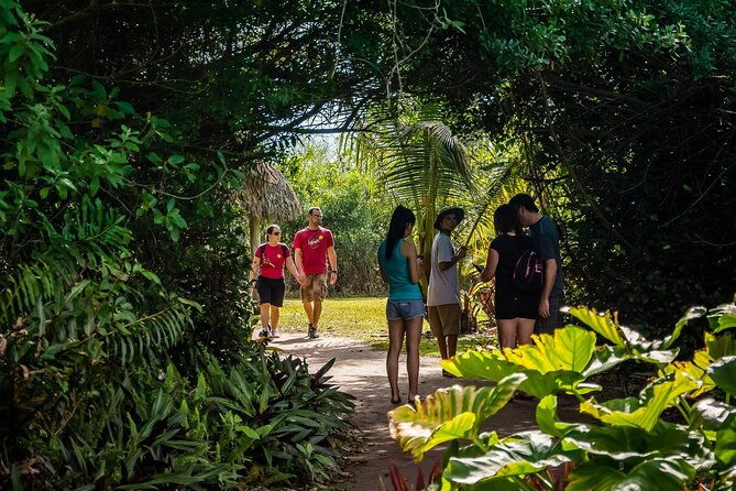 miami-beach-or-miami-everglades-wildlife-park-by-boat-bus