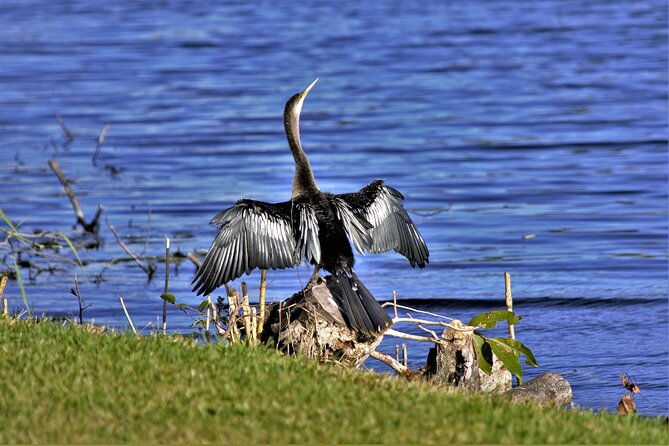 miami-full-day-self-guided-sightseeing-tour-w-cruise-and-everglades-airboat