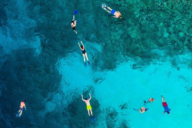 miami-key-west-dolphin-watch-snorkel-tour-and-other-options