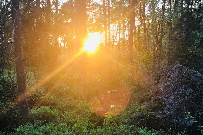midnight-sun-and-campfire-forest-evening-hike-outside-stockholm-2