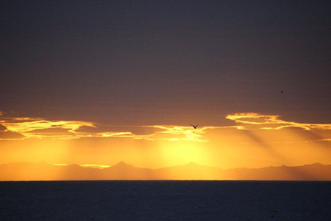 midnight-sun-whale-watching-from-reykjavik