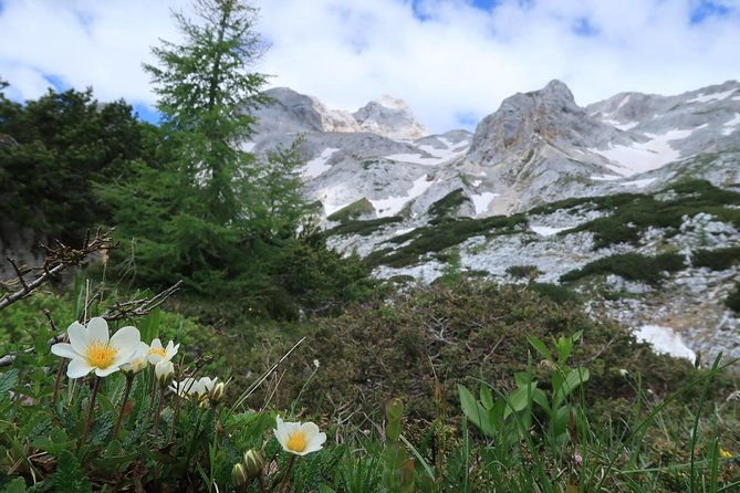 mighty-mount-triglav-climb-summer-special-join-group-3