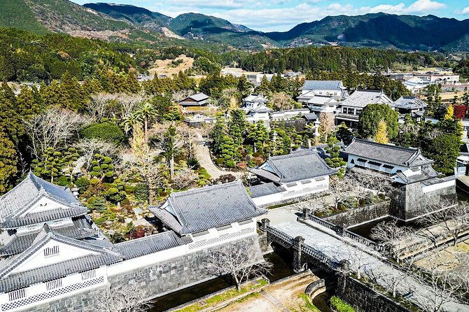 miyazaki-kyushu-wear-armor-and-become-a-shogun-at-a-castle