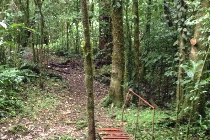 mombacho-volcano-trails-and-zip-line-amazing-natural-landscapes