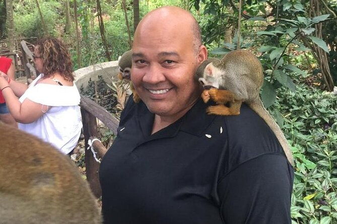 monkey-jungle-with-zip-line