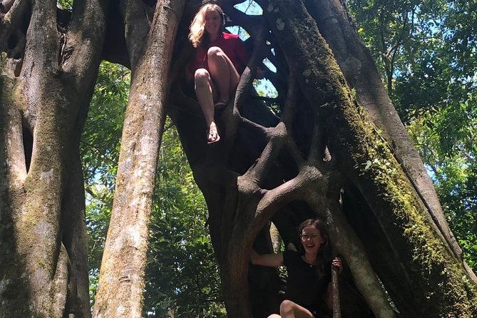 monteverde-cloud-forest-authentic-experience