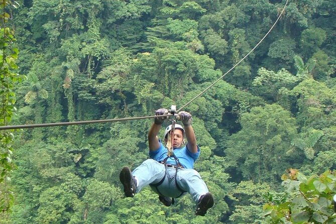 monteverde-cloud-forest-hike-and-hanging-bridges-tour-from-guanacaste