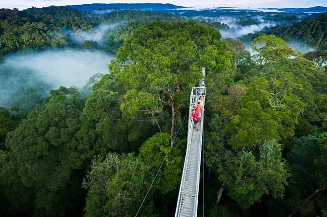 monteverde-cloud-forest-private-tour