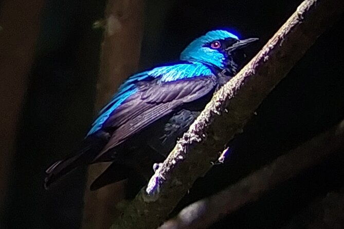 monteverde-cloud-forest-tour-2