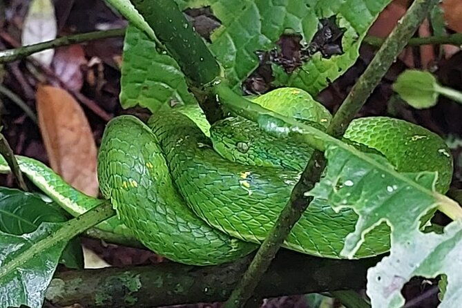monteverde-cloud-forest-tour