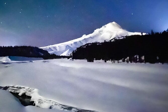 moonlight-snowshoe-hike