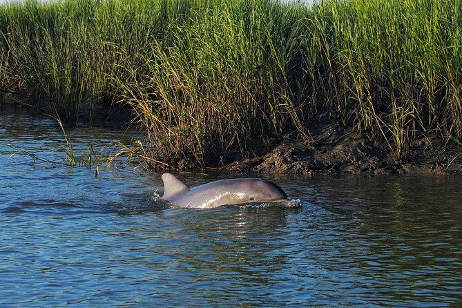 morning-beaufort-river-tour