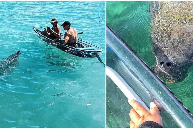 morning-kayak-tour-in-condado-lagoon