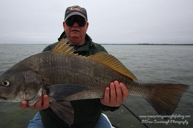mosquito-lagoon-sight-fishing-charters-near-orlando-florida