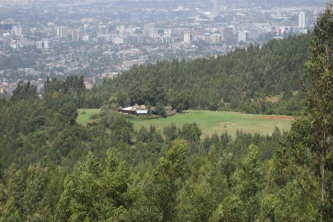 mount-entoto-view-point-museum-palace-local-market-food-tours-2