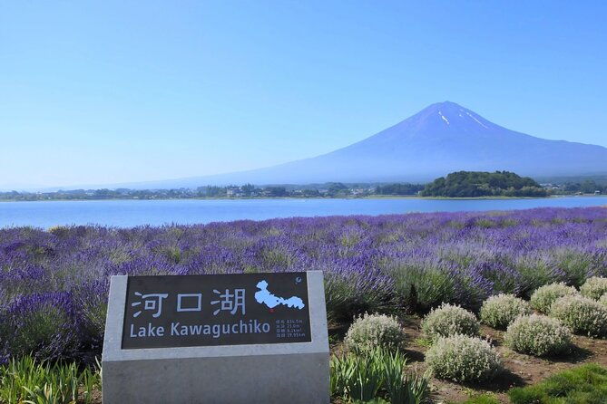 mount-fuji-full-day-tour-form-tokyo-lake-kawaguchi-yamanaka