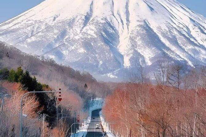 mount-fuji-sightseeing-one-day-tour-from-shinjuku