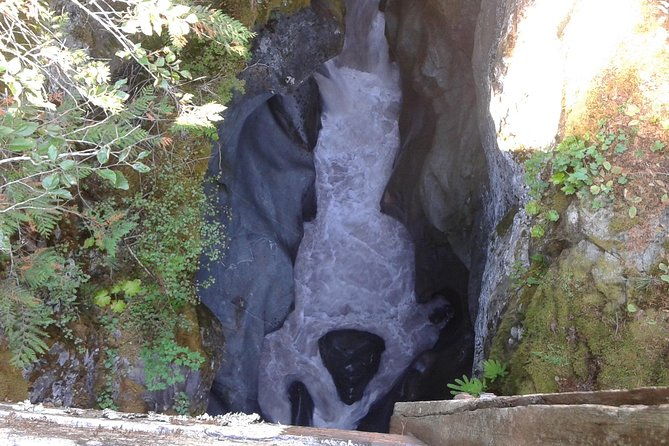 mount-rainier-tour-from-seattle