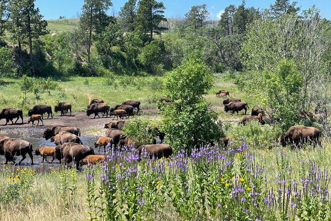 mount-rushmore-quest-custer-crazy-horse-iconic-roads