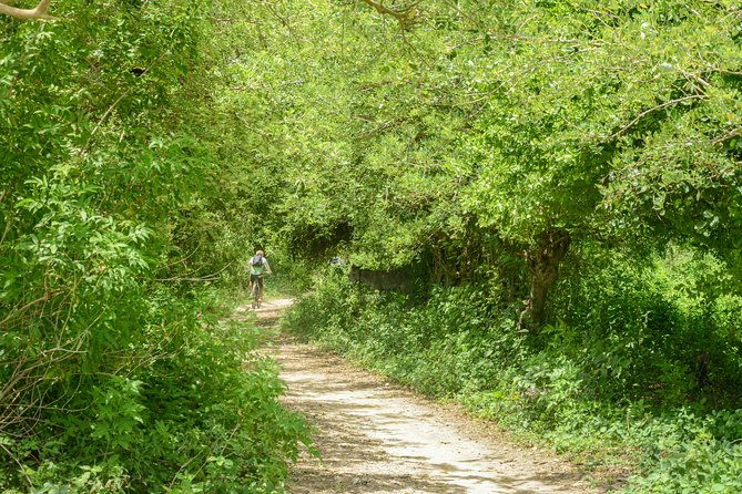 mountain-biking-in-tierra-bomba-island
