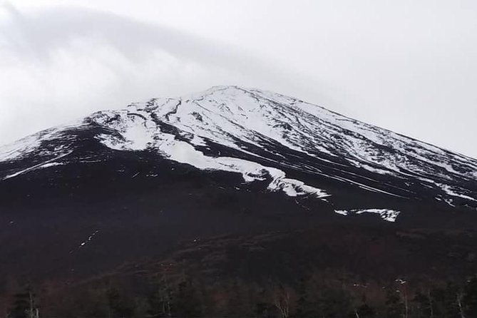 mt-fuji-day-tour-by-private-minivan-with-licensed-tour-guide-and-driver