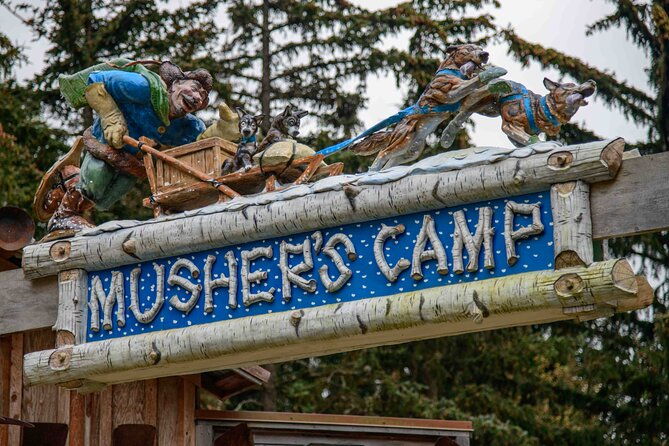 mushers-camp-and-smore-roasting-experience-2