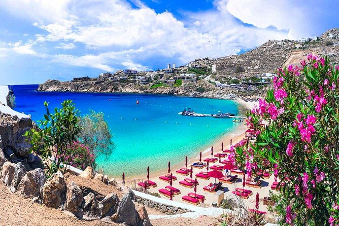 mykonos-tour-from-cruise-port-including-little-venice-windmills