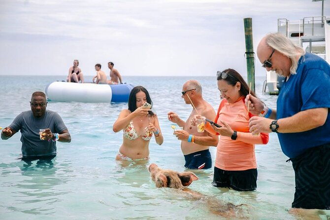 nassau-swimming-pigs-of-rose-island-express-water-taxi