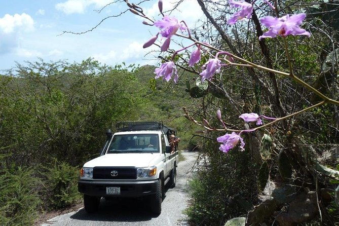 national-park-jeep-safari