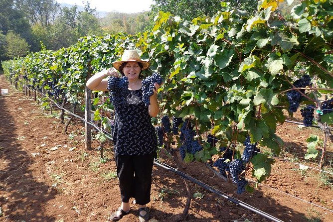 national-parks-and-wine-tasting-np-lovcen-np-skadar-lake-cetinje-njegusi