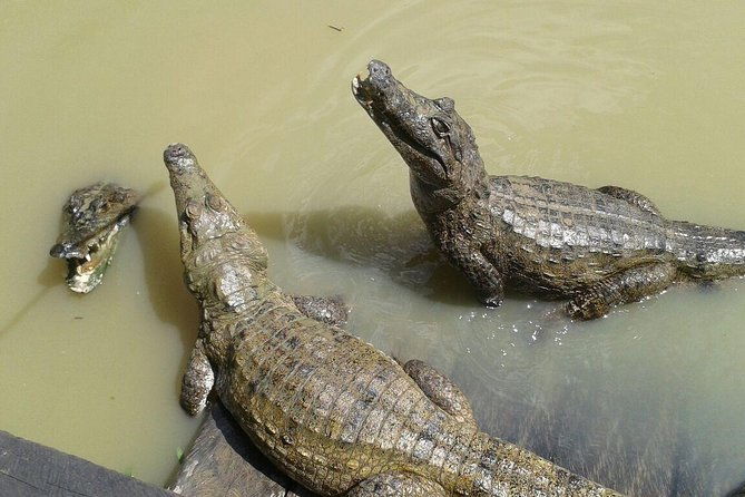native-aquatic-species-jungle-hike-animal-rescue-center-all-tickets-included