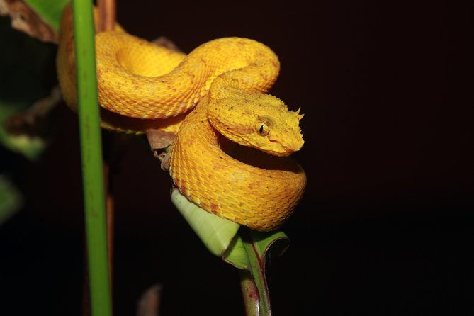 natura-eco-park-admission