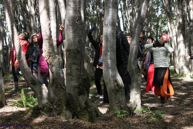 naturaldanza-dance-in-nature