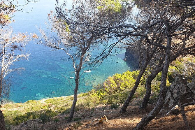 naturalistic-excursion-to-ustica