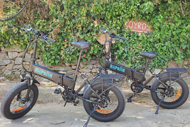 naxos-private-semi-private-e-bike-guided-tour-aegean-lush