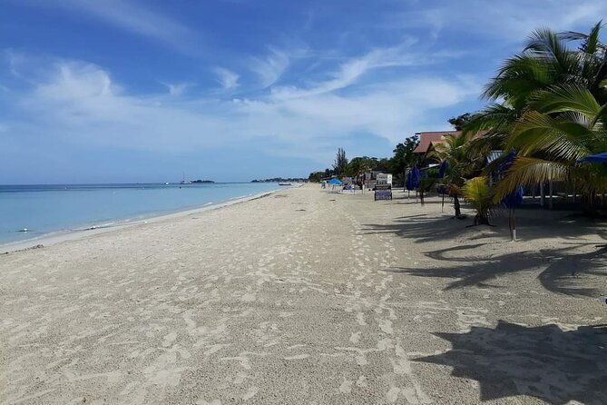 negril-7-miles-beach-and-ricks-cafe-tour